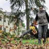 Dewalt 20V MAX XR Brushless Lithium-Ion Cordless String Trimmer and Blower Combo Kit (4 Ah) - DCKO215M1