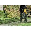Dewalt DCBL772X1-DCCS670B 60V MAX FLEXVOLT Brushless Lithium-Ion Cordless Handheld Axial Blower and 16 in. Chainsaw Bundle (3 Ah)