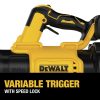 Dewalt 20V MAX XR Lithium-Ion Brushless Handheld Cordless Blower (Tool Only) - DCBL722B